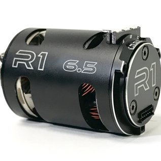 R1wurks R1-020014  R1 6.5T V16 Motor F1