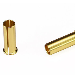 Arrowmax AM-701014  5 - 4mm Conversion Bullet Reducer 24K (2)
