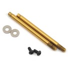 Team Associated ASC91615 B6 3x21 mm Shock Shafts (V2), Ti-Nitride (2)