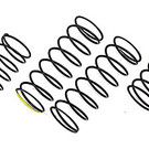 Team Associated ASC21558  FT 10 mm Rear Spring Set