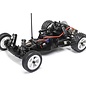 TLR / Team Losi LOS01020T3  Pink / Black Losi JRX2 1/16 RTR 2WD Buggy w/2.4GHz Radio, Battery & Charger