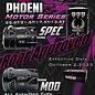 EXALT EXA01135 Exalt "Phoenix" Bronze Spec Class 13.5T Brushless Motor