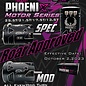 EXALT EXA01135 Exalt "Phoenix" Bronze Spec Class 13.5T Brushless Motor