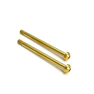 R1wurks R1-990058 Titanium Nitride Rear Outer Hinge Pin, Titanium for B7 / B84 Series & DC1