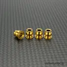 R1wurks R1-900009  R1WURKS B7 Titanium Lower Shock Pivot Balls (Titanium Nitride Coated)