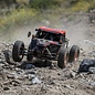 TLR / Team Losi LOS04019  1/6 8IGHT-X Super Lasernut 4WD Brushless Buggy RTR