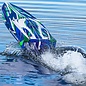 Traxxas TRA103076-4 Green Spartan Brushless 36" Self Righting Boat RTR