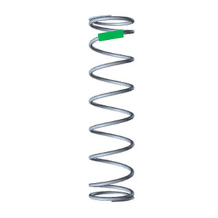 Willspeed W2009  Willspeed 13mm Buggy Spring - Rear - Green 2.35lbs