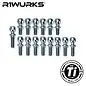 R1wurks R1-900092-1 R1WURKS (B74 Series) Turnbuckle Ball Stud Set, Titanium, 14pcs