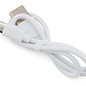 Protek RC PTK-7650 ProTek RC NiZn USB Battery Charger (4 Slots) (AA/AAA)