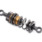 RocheRC USA 310250  Rapide P12 EVO2 DVS-W2 Shock Set