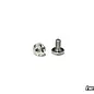 Sortafast SF-KG0306-2  Hexcix Titanium Screws King Head M3 (2) (Metric) 3x6mm