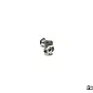 Sortafast SF-MS2306-2  Hexcix Titanium Screws Motor Screws M3 (2) (Metric) 3x6mm