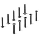 Xray XRA903325  Hex Screw SFH M3x25 (10)