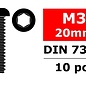 Team Corally COR3003-30-20  Steel Screws M3 x 20mm, Hex Button Head, 10pcs