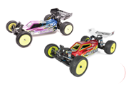1:10 2wd Buggy