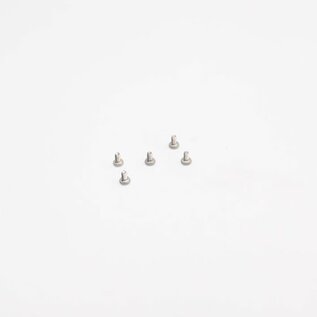 Reflex Racing RX28-035  Reflex Racing RX28 M2x4 Low Profile Head Screws (5pcs)