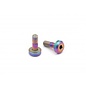 RocheRC USA ROC-550066  Roche M3x9mm Ti Motor Screw, Rainbow Color, 2 pcs