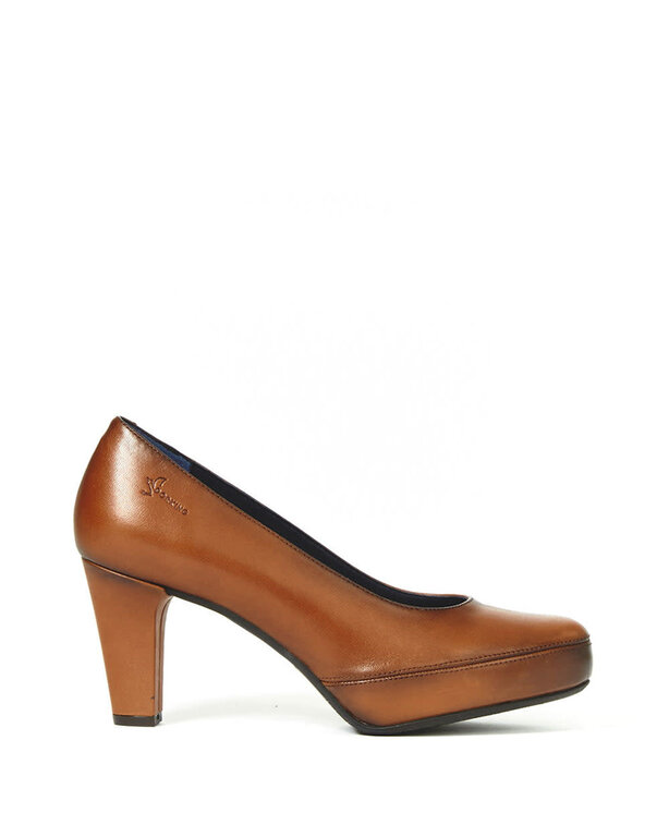 Dorking Blesa pump