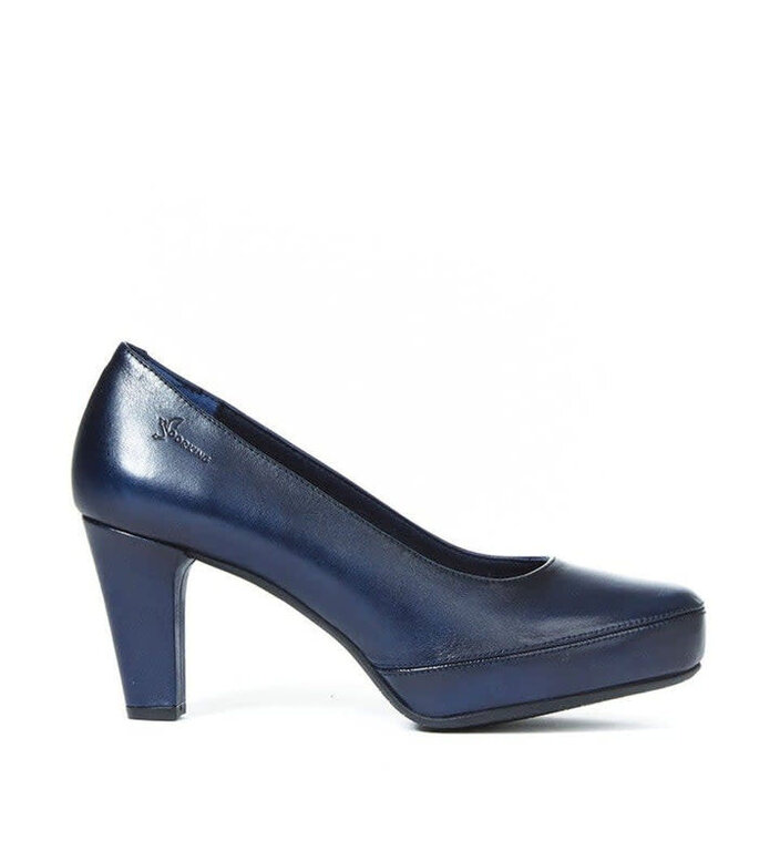 Dorking Blesa pump