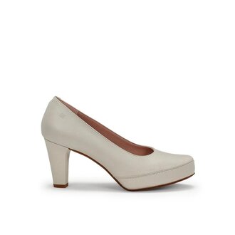 Dorking Blesa pump Dorking Blesa pump