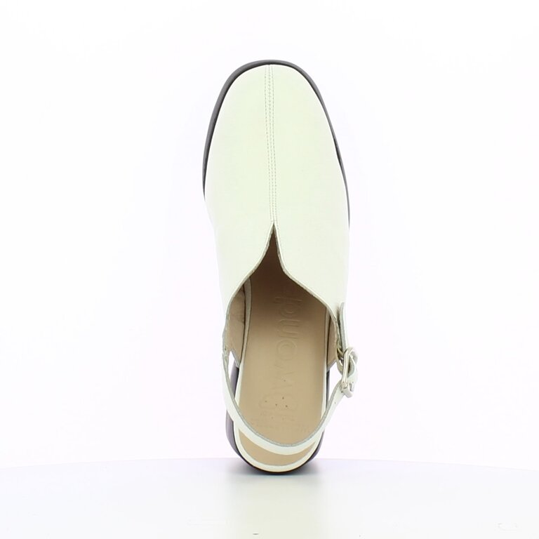 Wonders Wonders platform clog