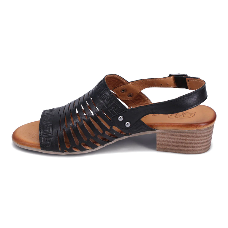 Biza Olivia