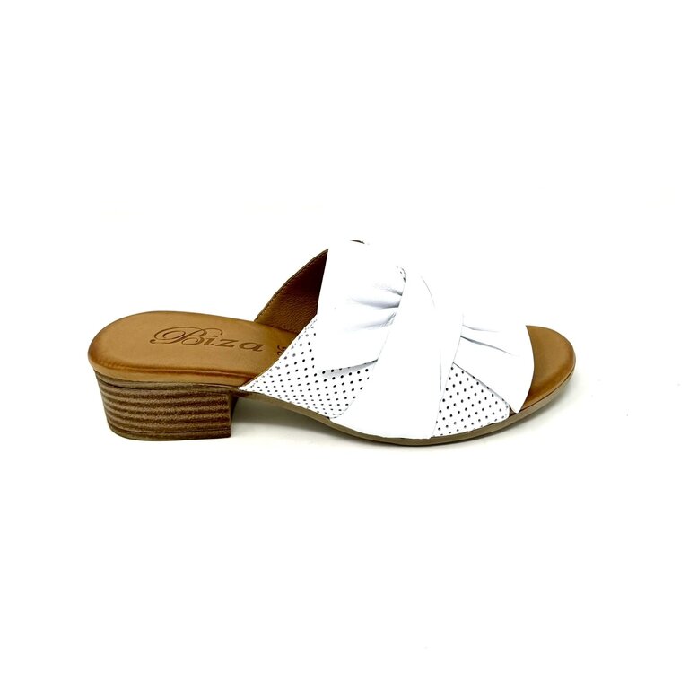 Biza Olympia slide
