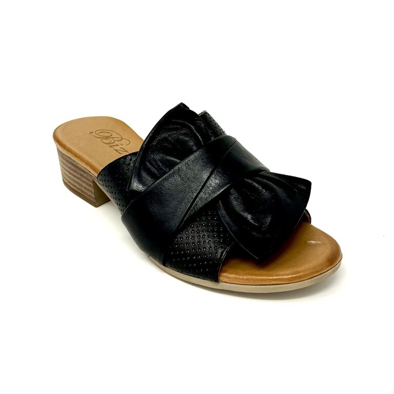 Biza Olympia slide