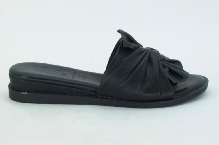 Tyche Sassy slide