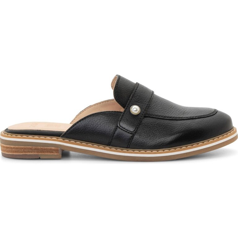 Ara Kona mule
