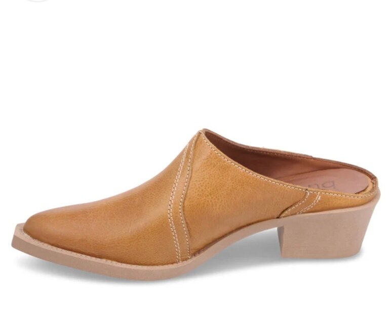 Bueno Fredrick mule