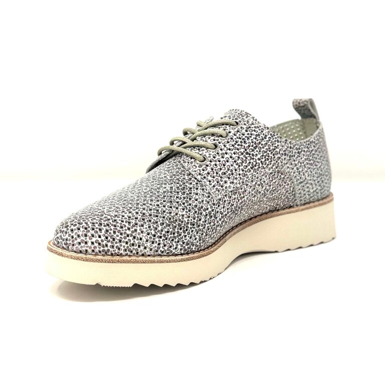 Tamara London Alumni shoe