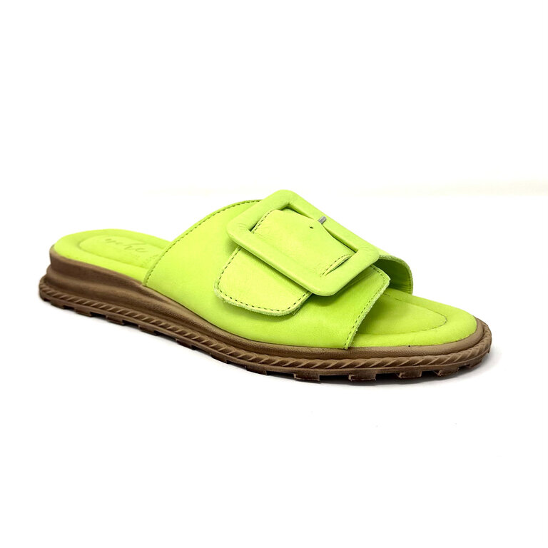 Tyche Monroe slide