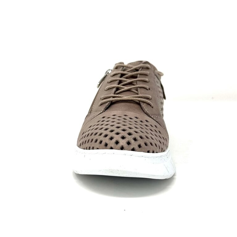 Dragonfly Dragonfly sport sneaker