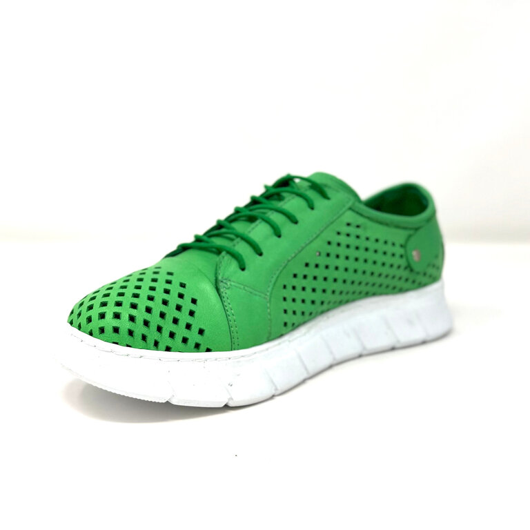 Dragonfly Dragonfly sport sneaker