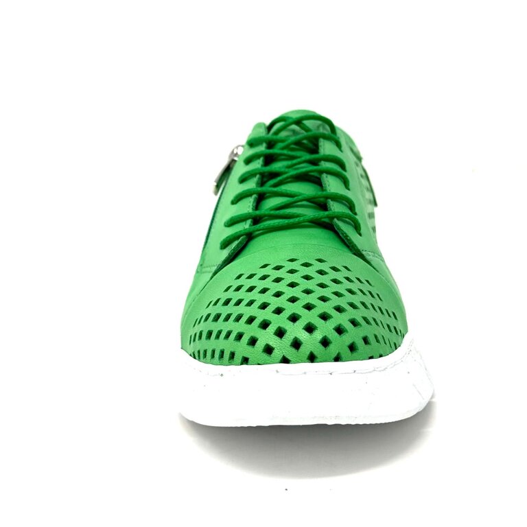Dragonfly Dragonfly sport sneaker