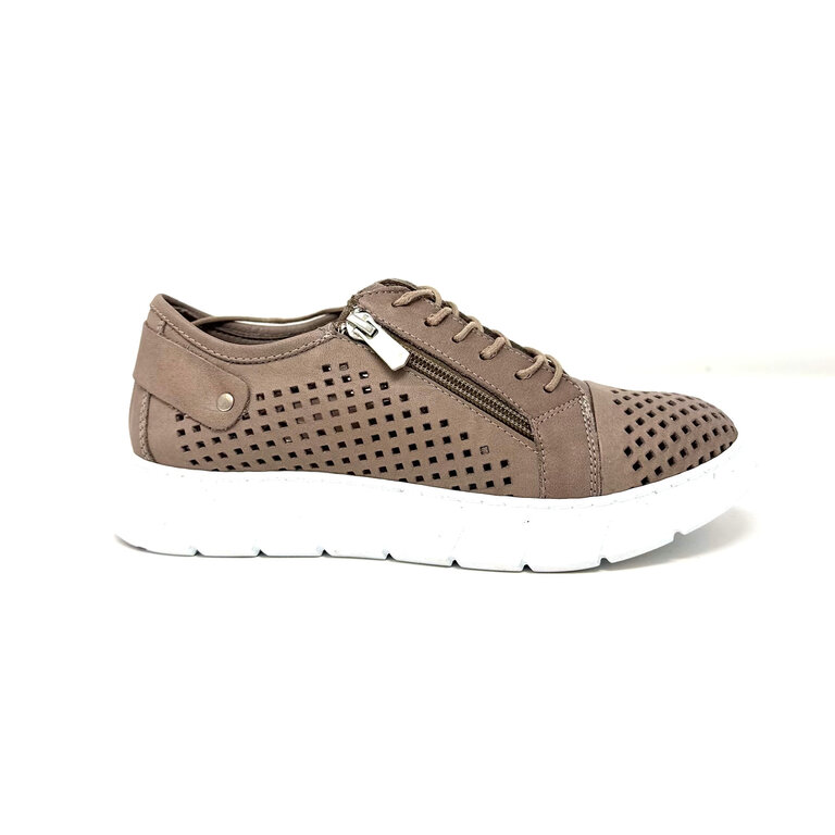 Dragonfly Dragonfly sport sneaker