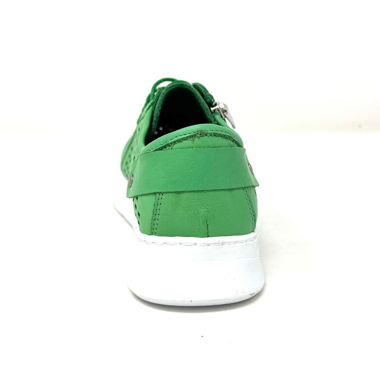 Dragonfly Dragonfly sport sneaker