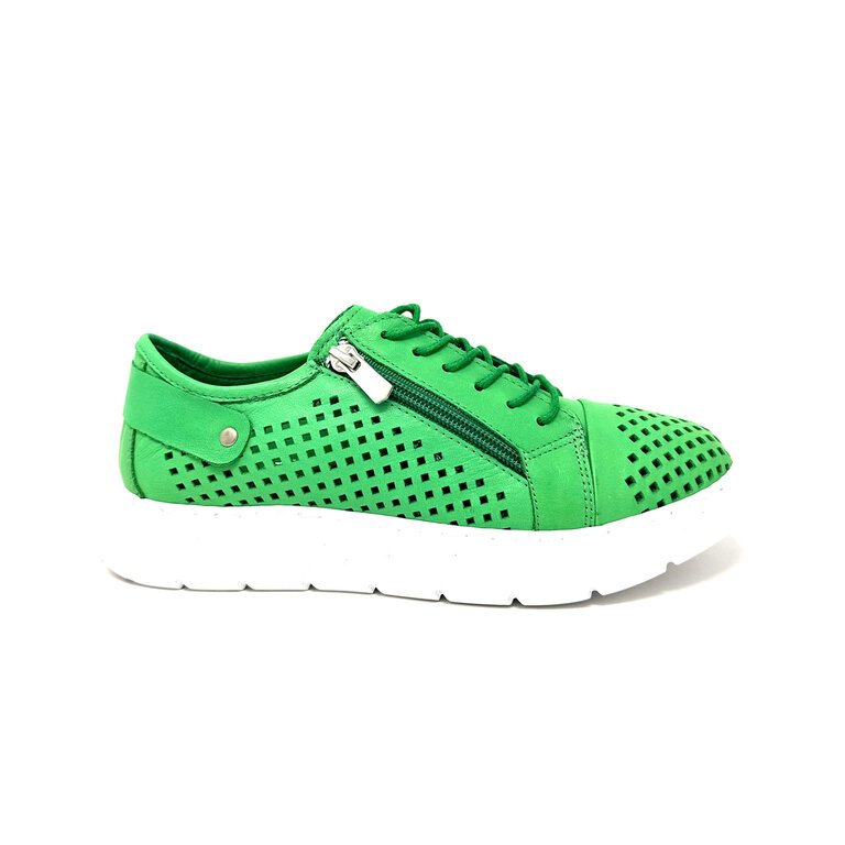Dragonfly Dragonfly sport sneaker