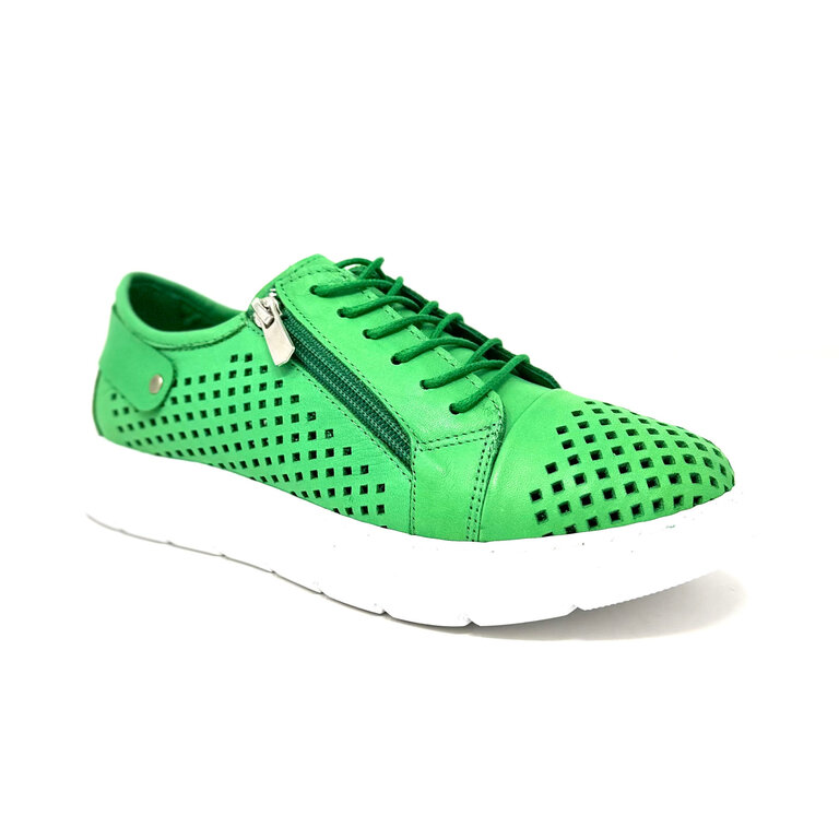Dragonfly Dragonfly sport sneaker