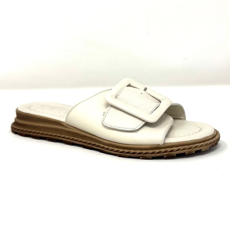 Tyche Monroe slide