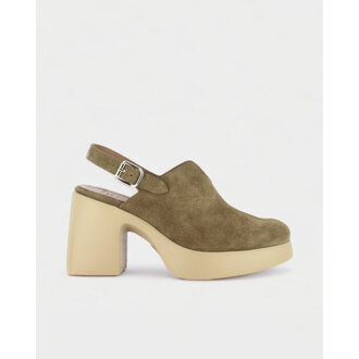 Wonders Wonders  clog Wonders Wonders  clog