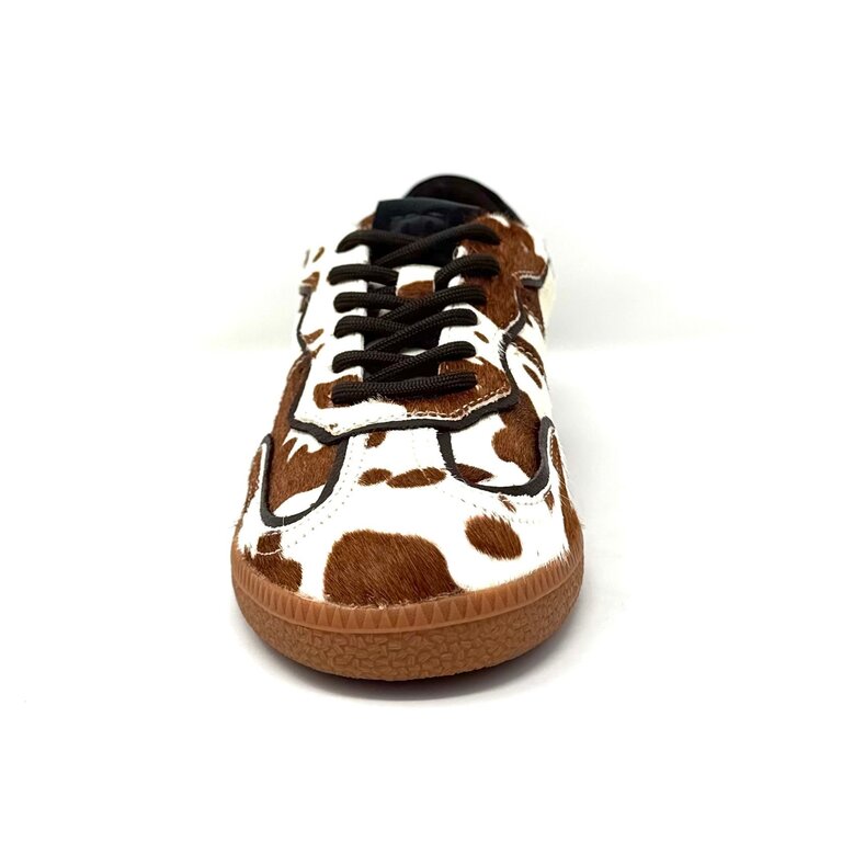 Mollini Danssing sneaker
