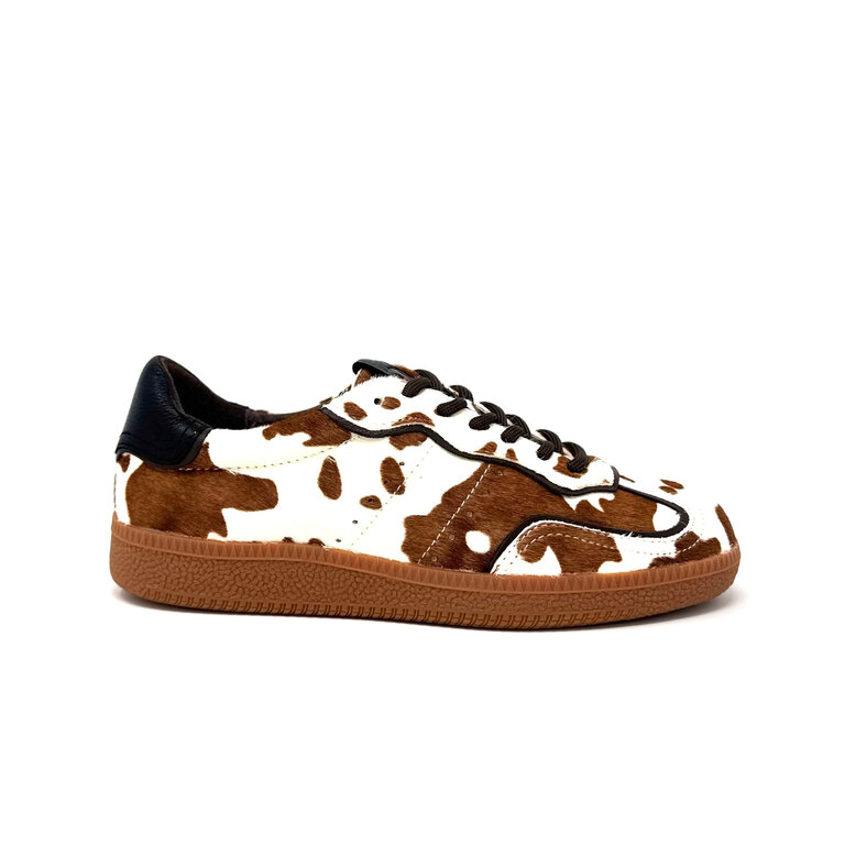 Mollini Danssing sneaker