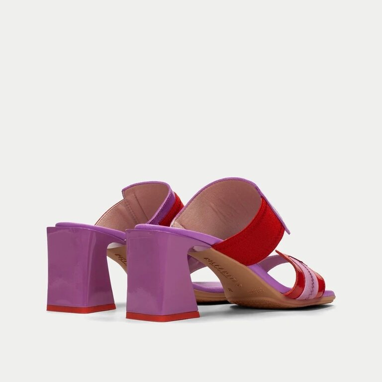 Hispanitas Hispanitas mule