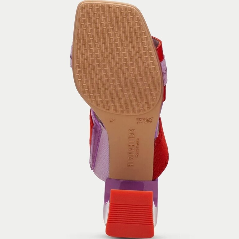 Hispanitas Hispanitas mule