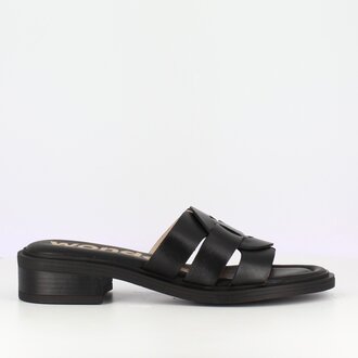 Wonders Wonders slide