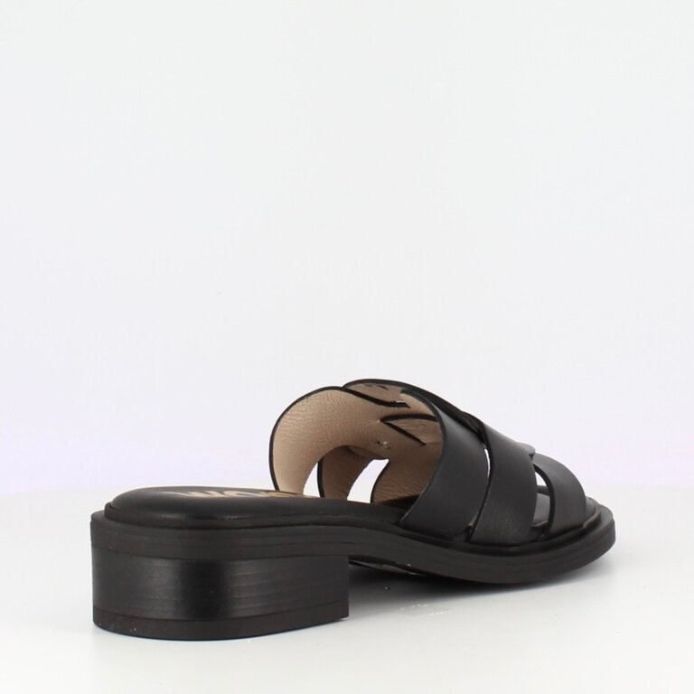 Wonders Wonders slide