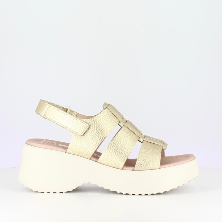 Wonders Wonders chunky fisherman